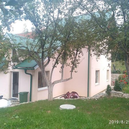 Apartments&Rooms Bojic Kolašin Buitenkant foto