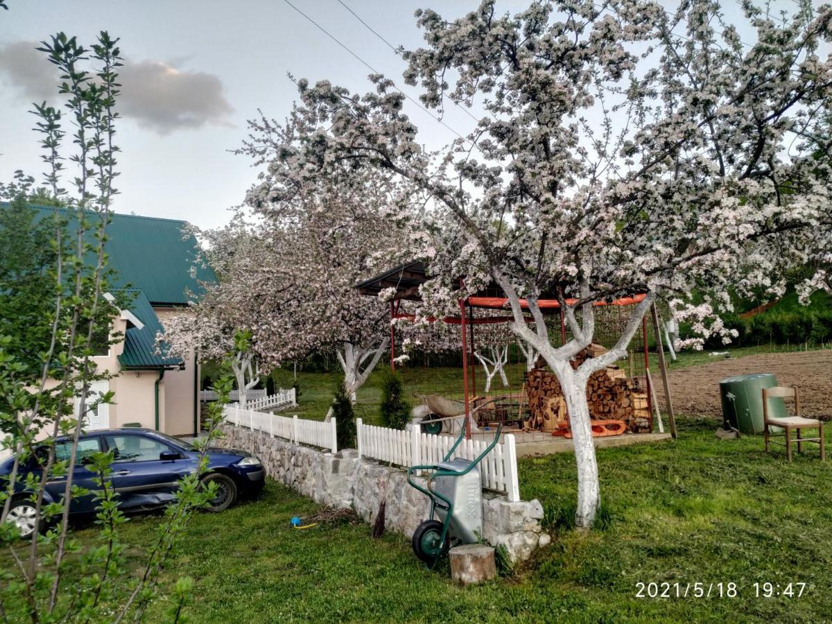 Apartments&Rooms Bojic Kolašin Buitenkant foto
